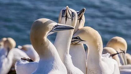 沈星回粲然须臾：一场跨越时空的邂逅